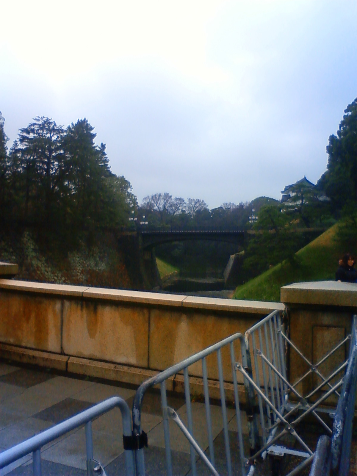NEC_0283.JPG