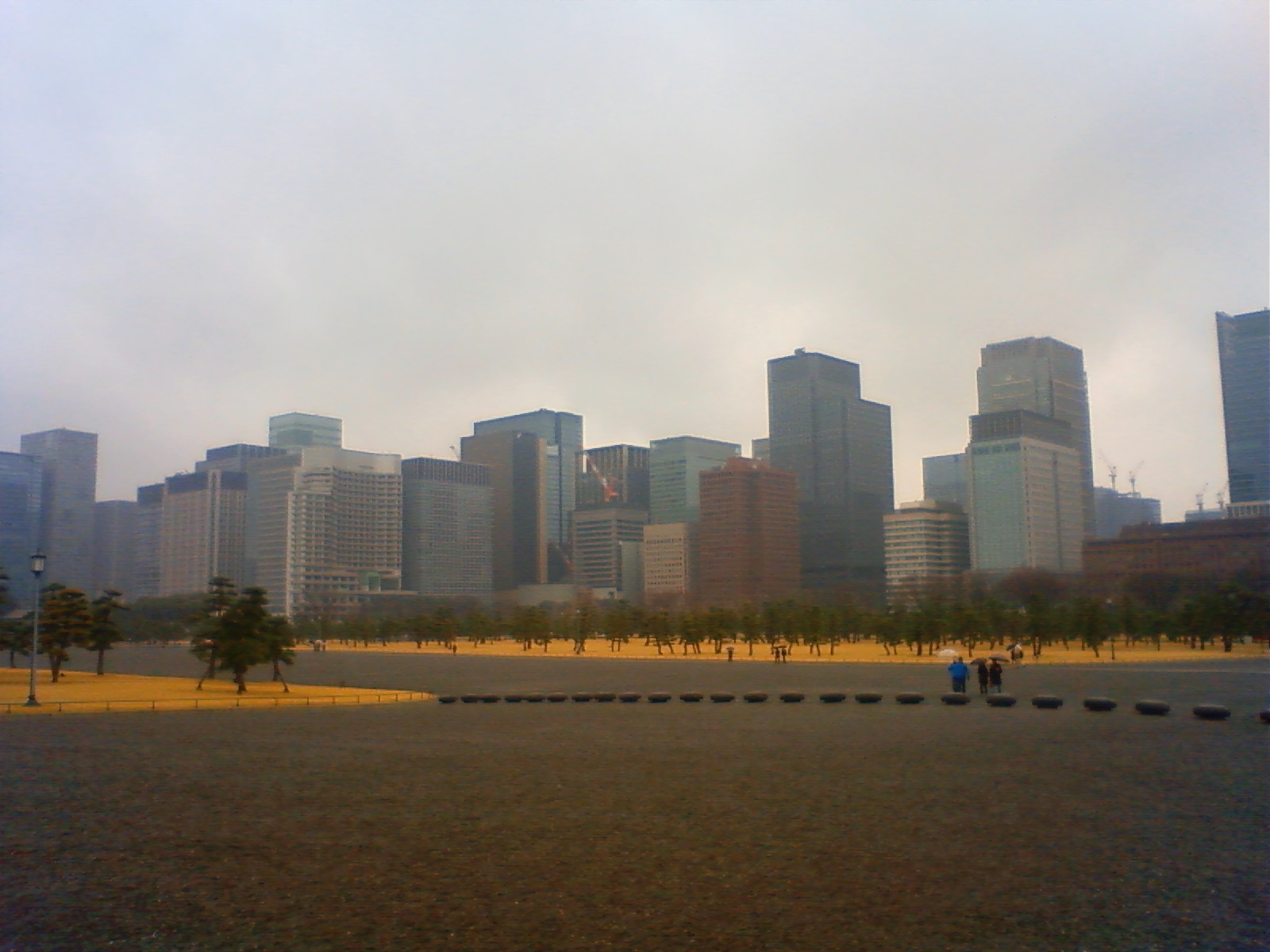 NEC_0285.JPG
