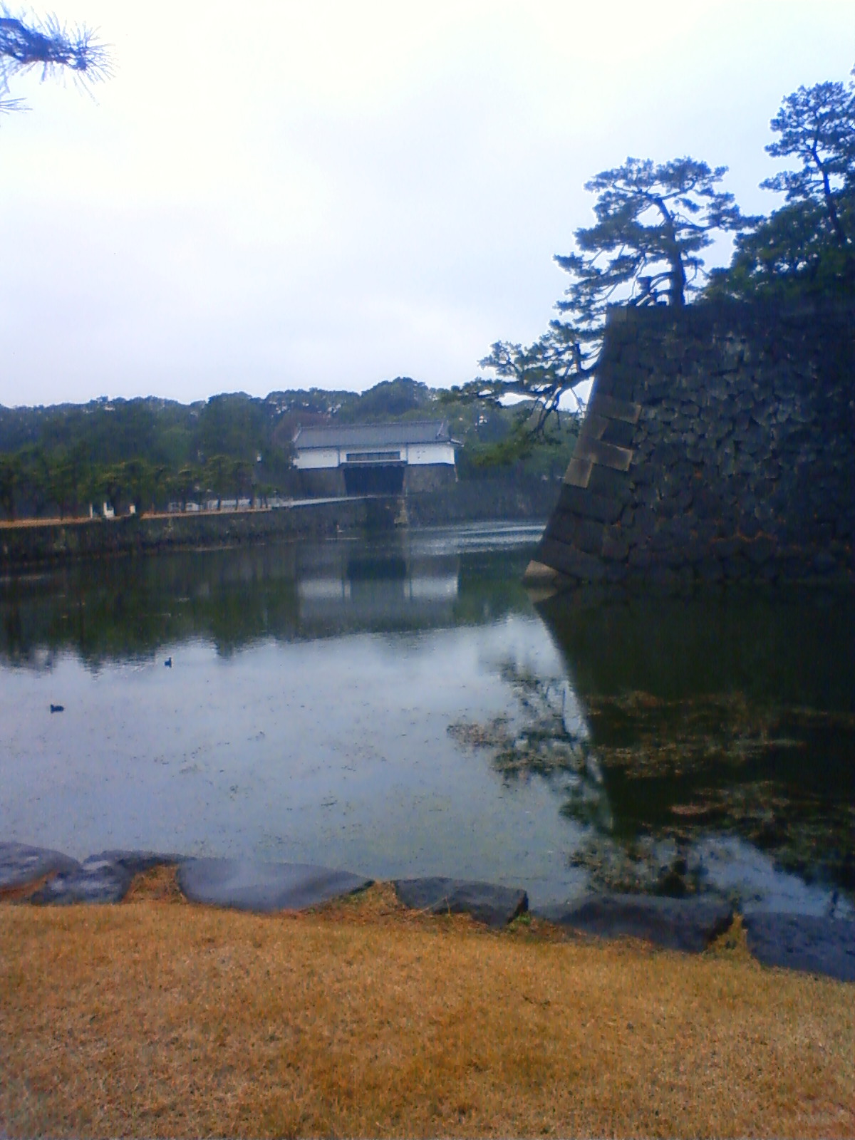 NEC_0289.JPG