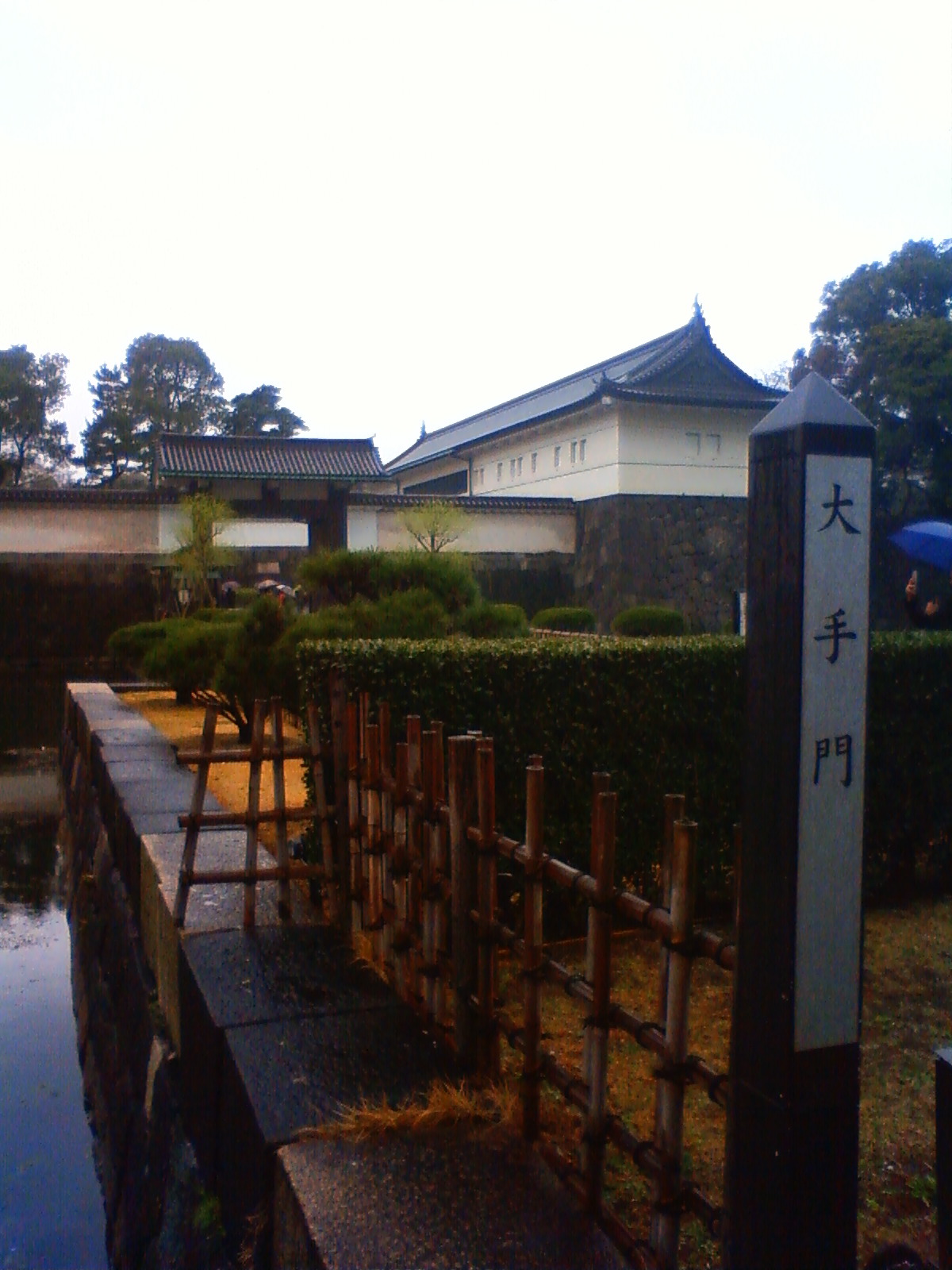 NEC_0290.JPG