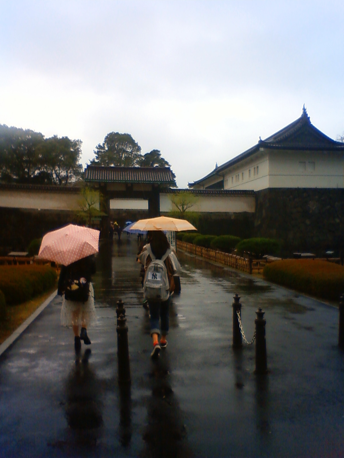 NEC_0291.JPG