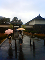 NEC_0291_thumb.png