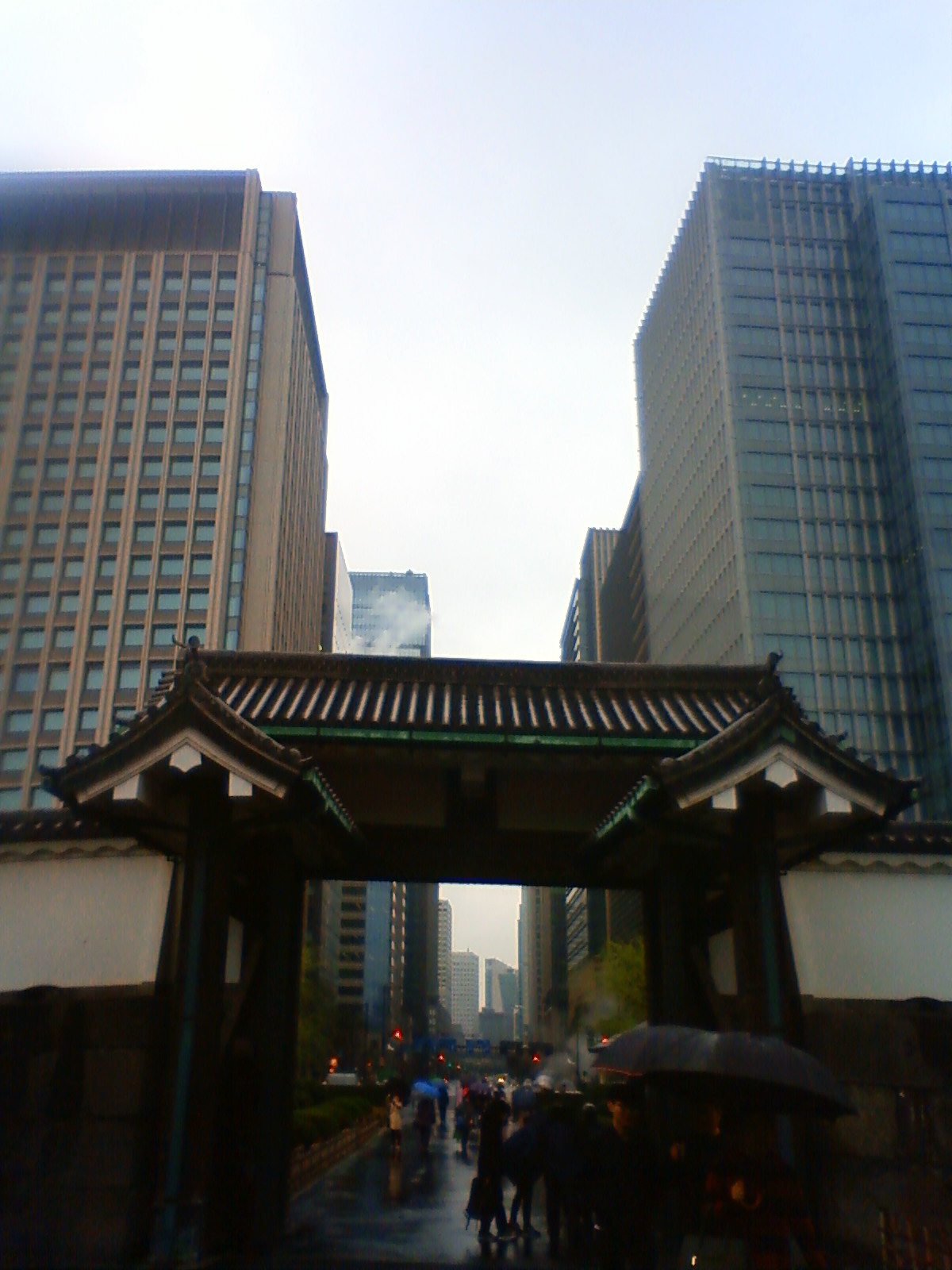 NEC_0296.JPG