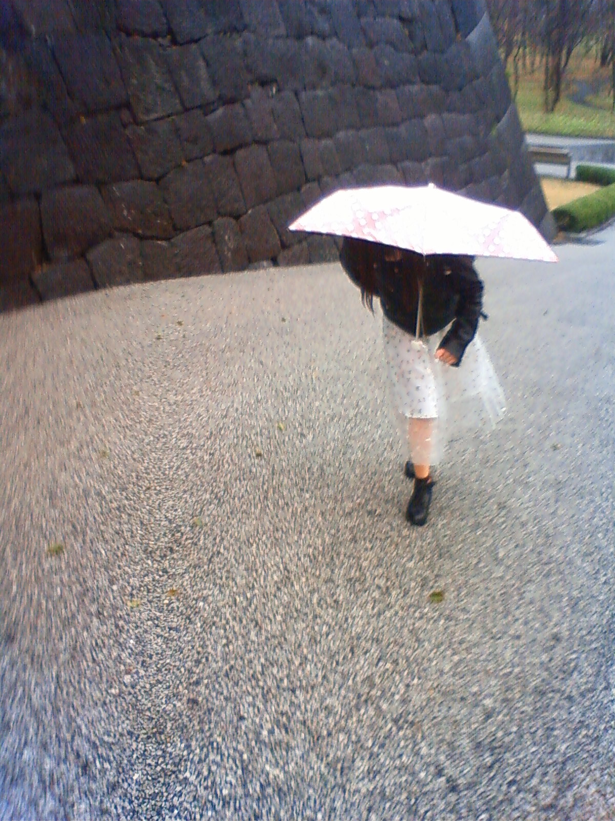 NEC_0302.JPG