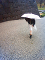 NEC_0302_thumb.png