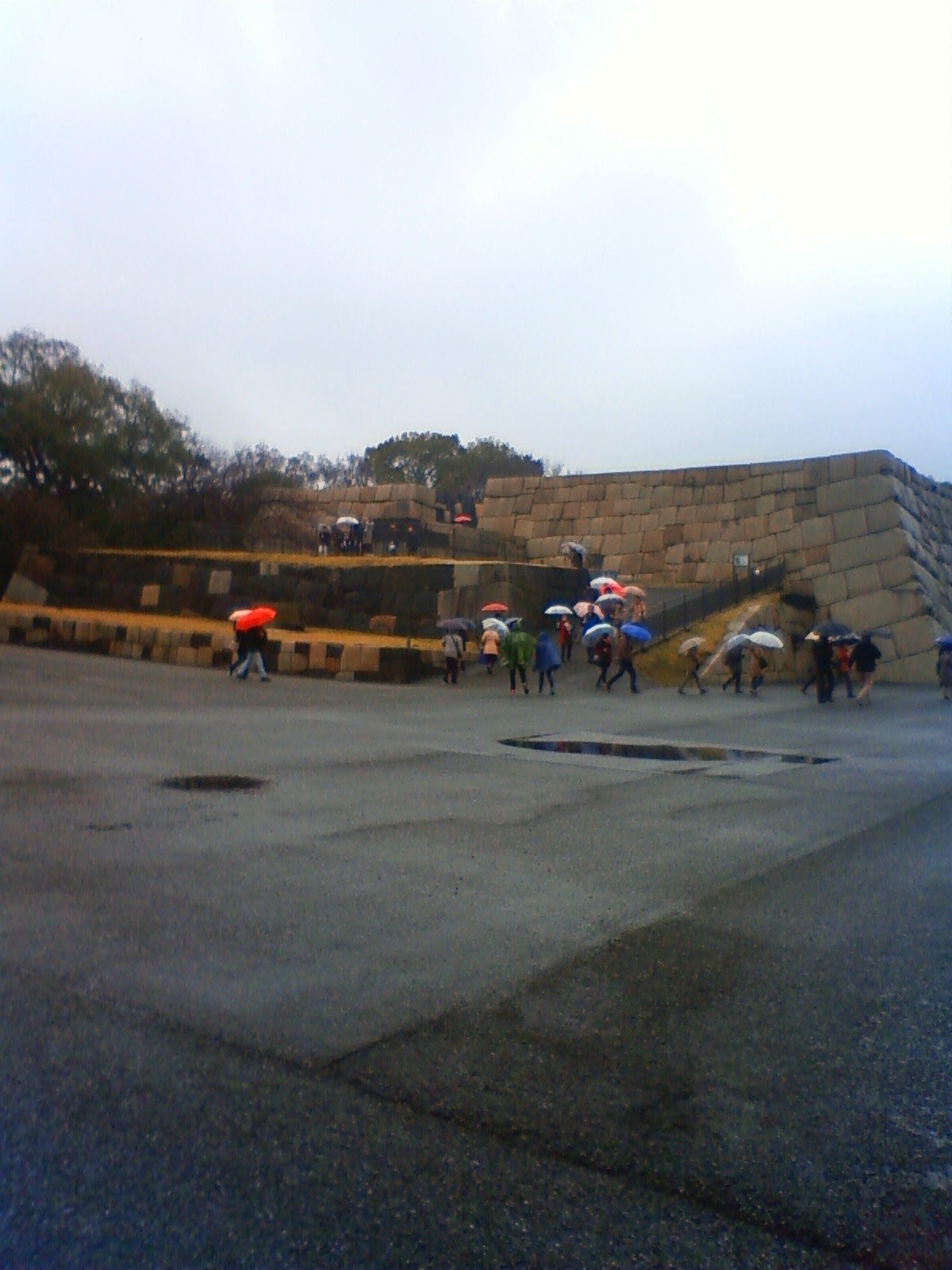 NEC_0304.JPG