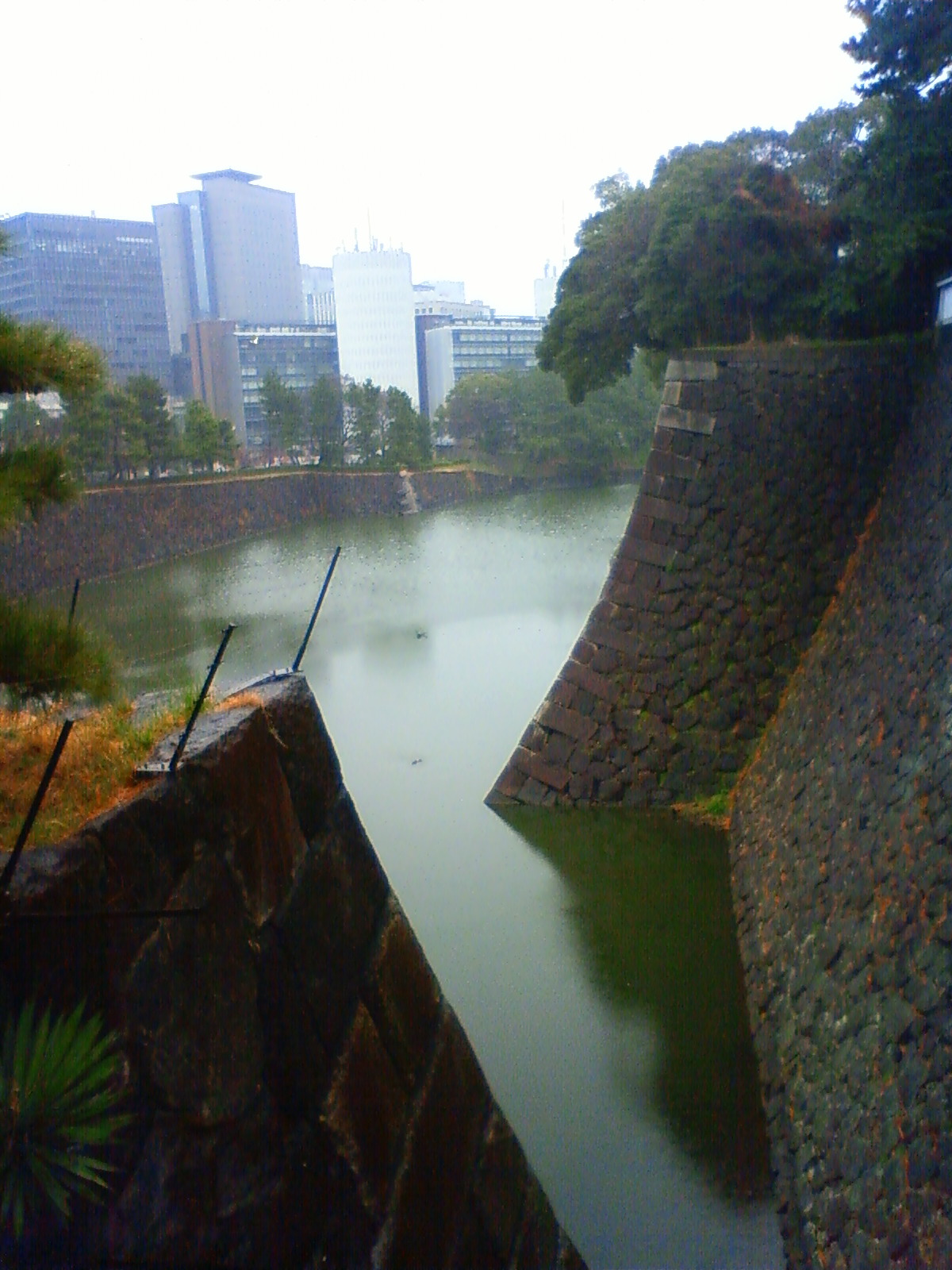 NEC_0312.JPG