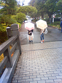 NEC_0315_thumb.png