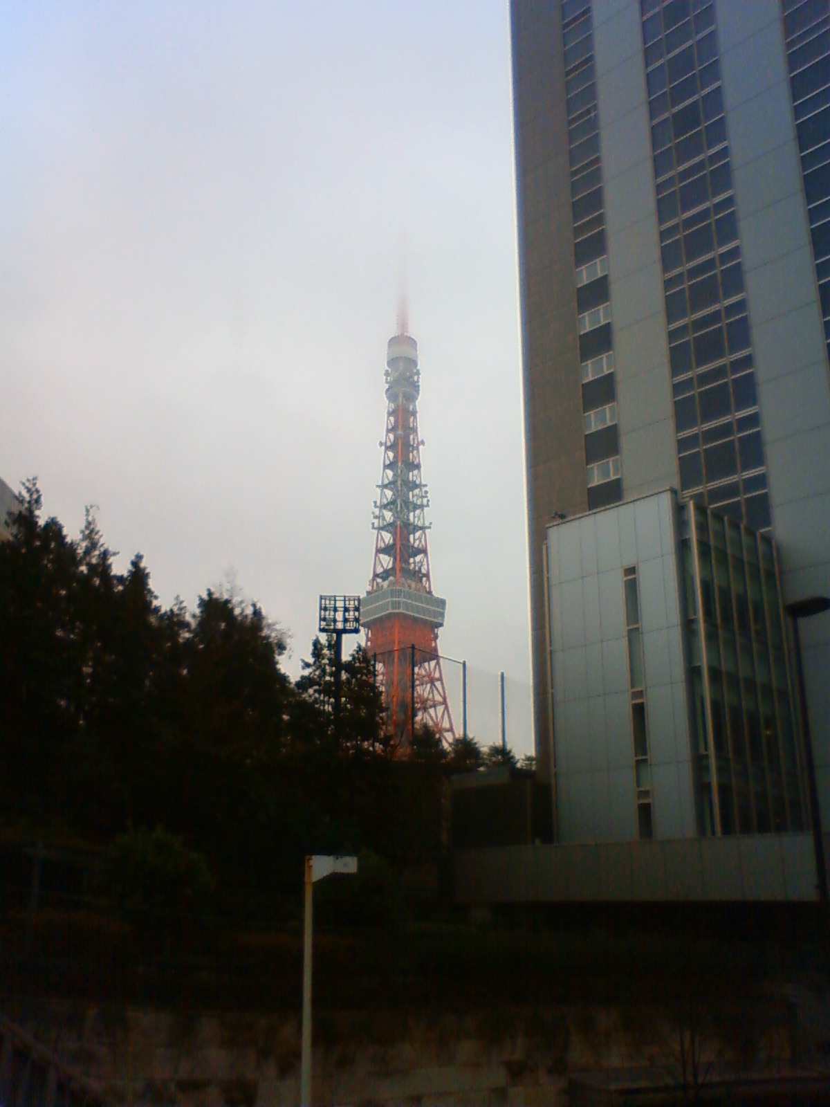 NEC_0321.JPG