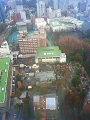 NEC_0330_thumb.png