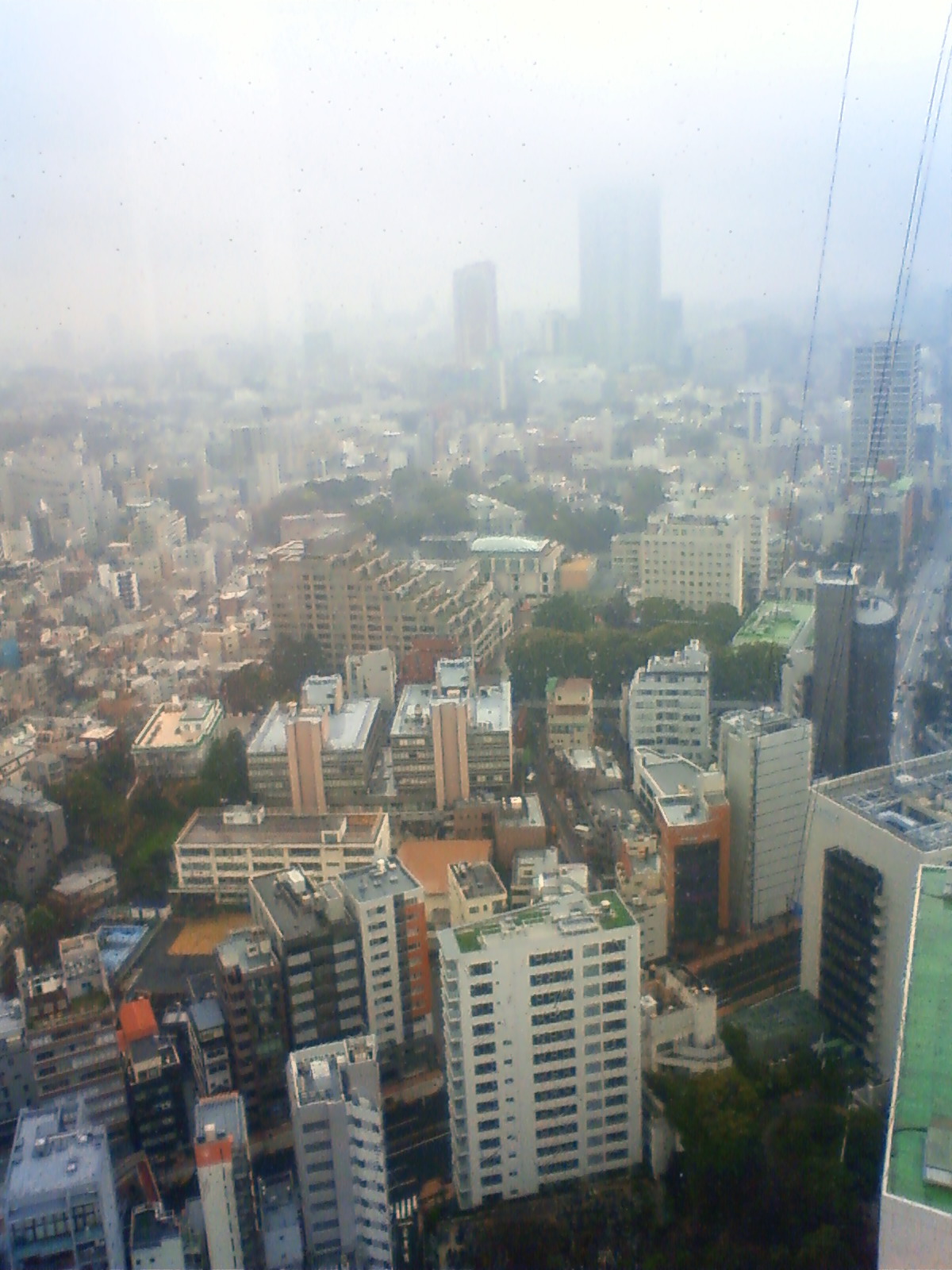 NEC_0334.JPG