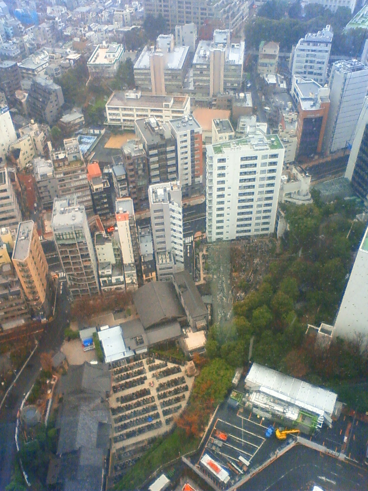 NEC_0335.JPG