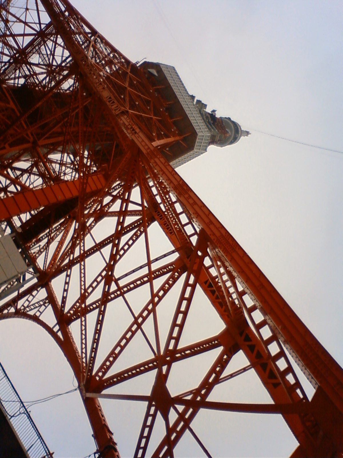 NEC_0346.JPG