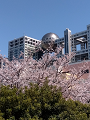 IMG_2024-04-14-13-52-23-911_thumb.png