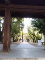 IMG_2024-04-14-16-06-30-724_thumb.png