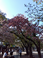 IMG_2024-04-14-16-10-24-142_thumb.png