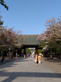 IMG_2024-04-14-16-11-01-361_thumb.png