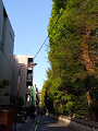 IMG_2024-04-14-16-30-36-110_thumb.png