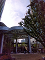 IMG_2024-04-15-14-54-44-979_thumb.png