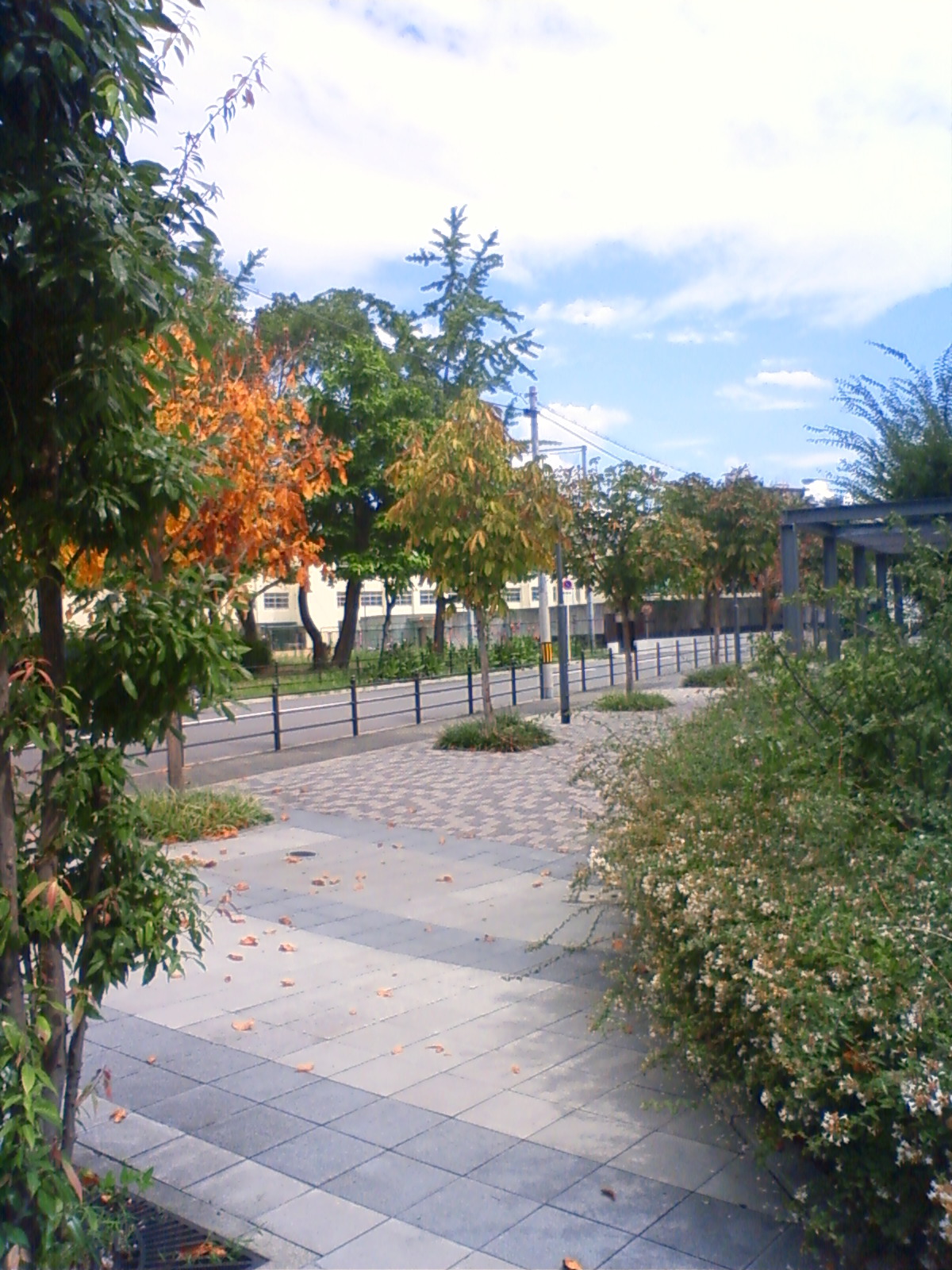NEC_0092.JPG