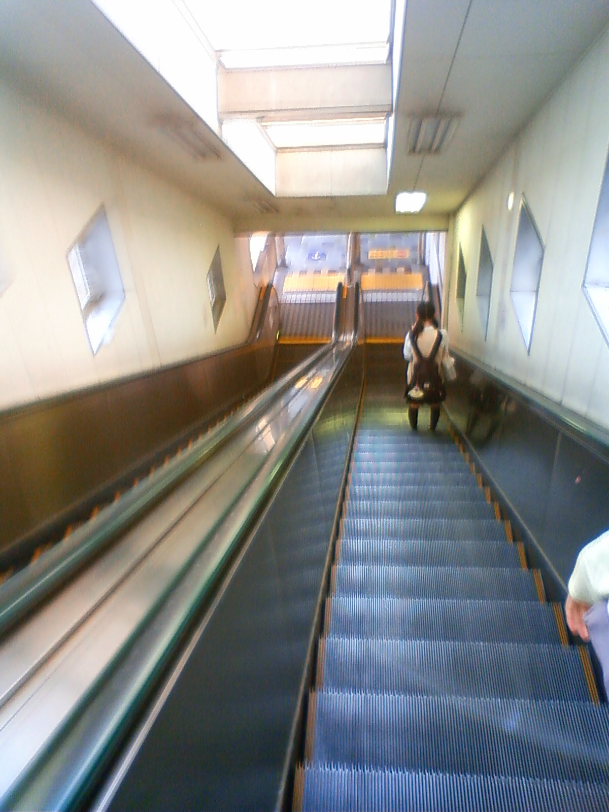 NEC_2879.JPG