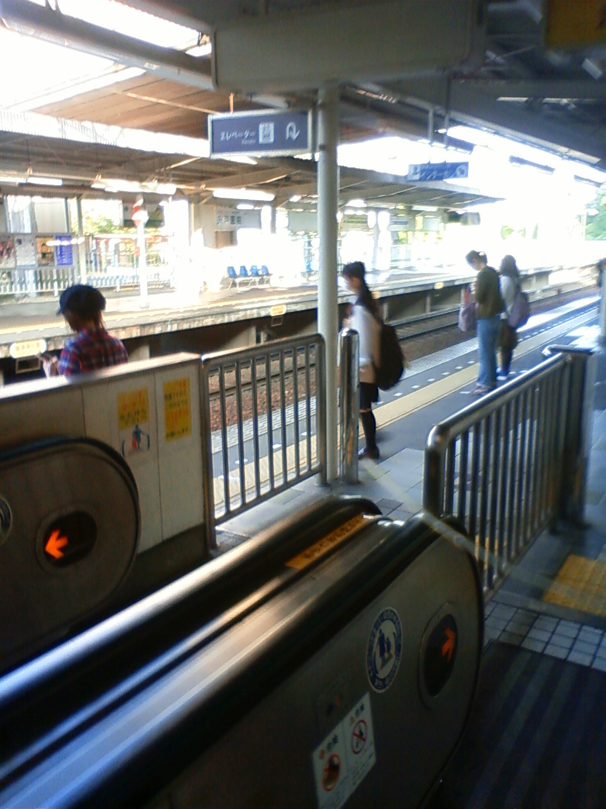 NEC_2880.JPG