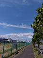 IMG_2024-08-12-13-02-50-768_thumb.png