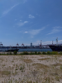 IMG_2024-08-12-13-03-48-233_thumb.png