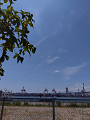 IMG_2024-08-12-13-04-21-821_thumb.png