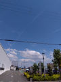 IMG_2024-08-12-13-06-08-067_thumb.png