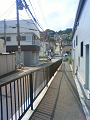 NEC_0837_thumb.png