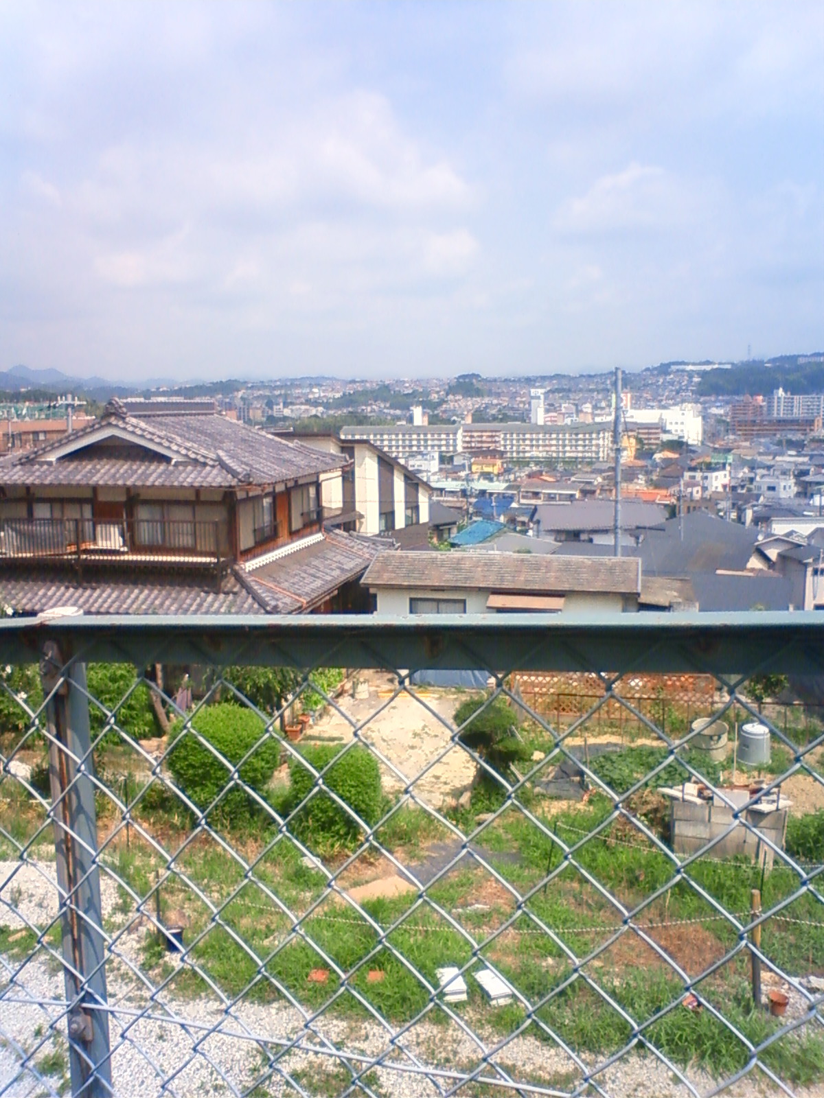 NEC_0840.JPG