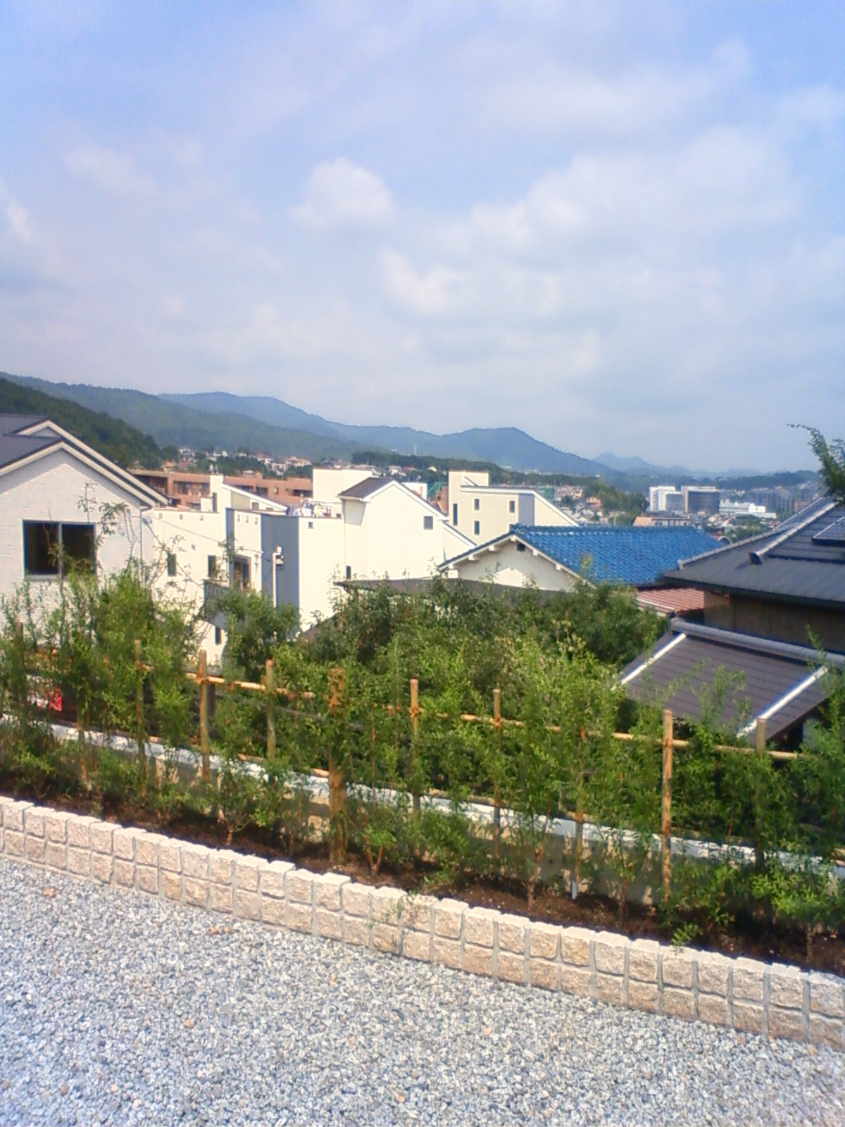 NEC_0845.JPG