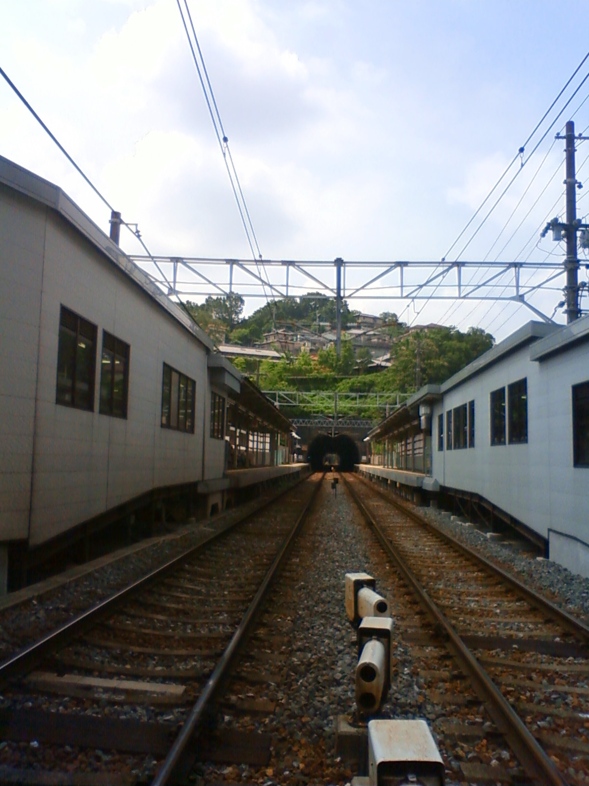NEC_0850.JPG