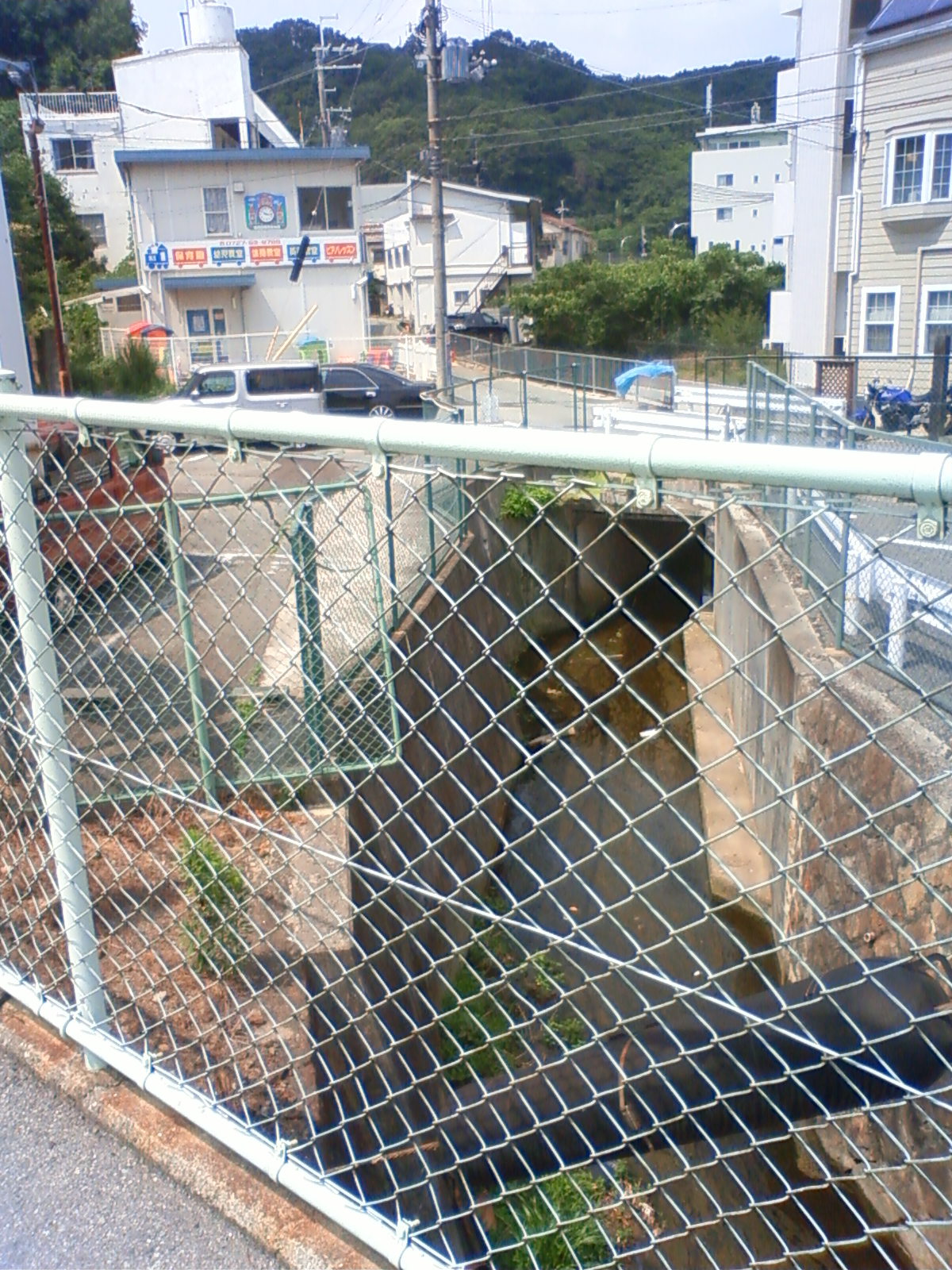 NEC_0851.JPG