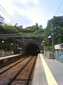 NEC_0852_thumb.png