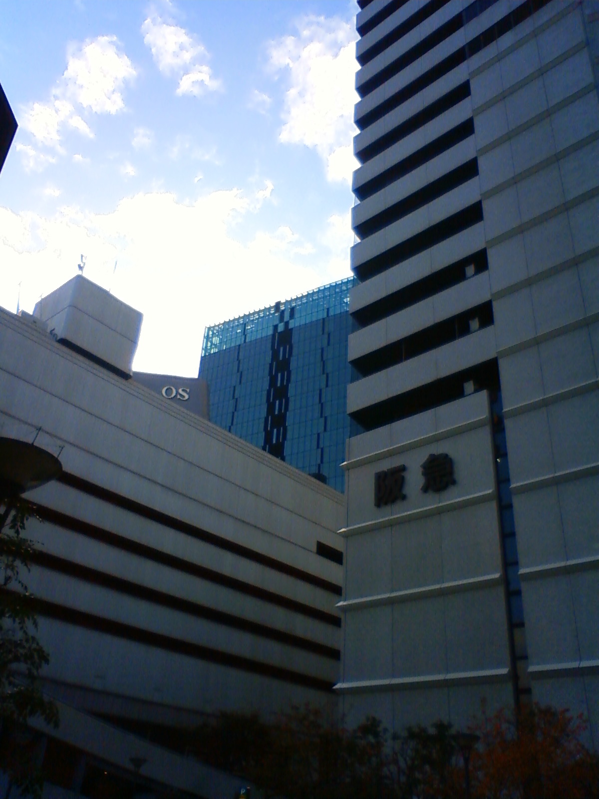 NEC_2470.JPG