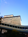 NEC_2472_thumb.png