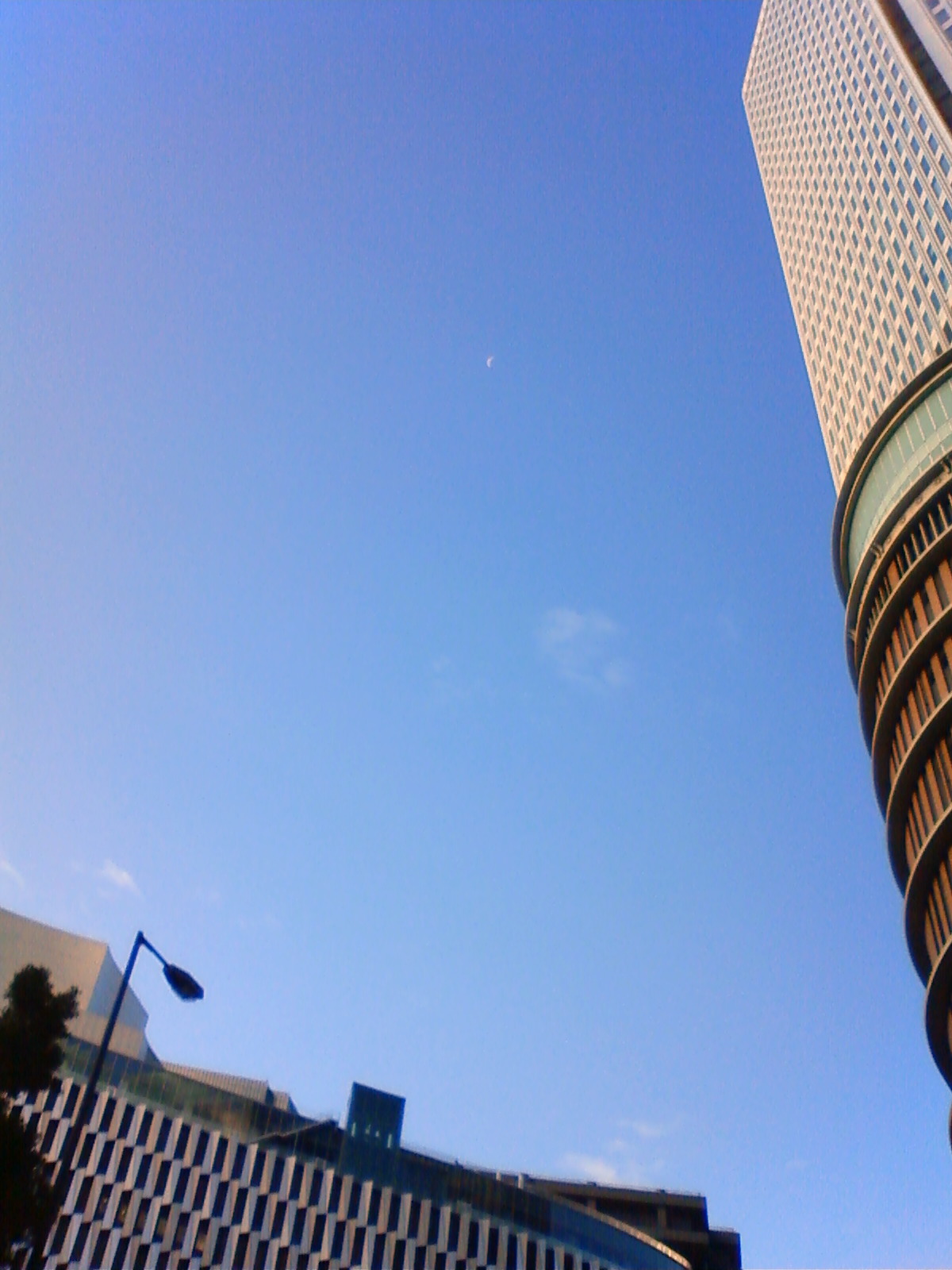 NEC_2474.JPG