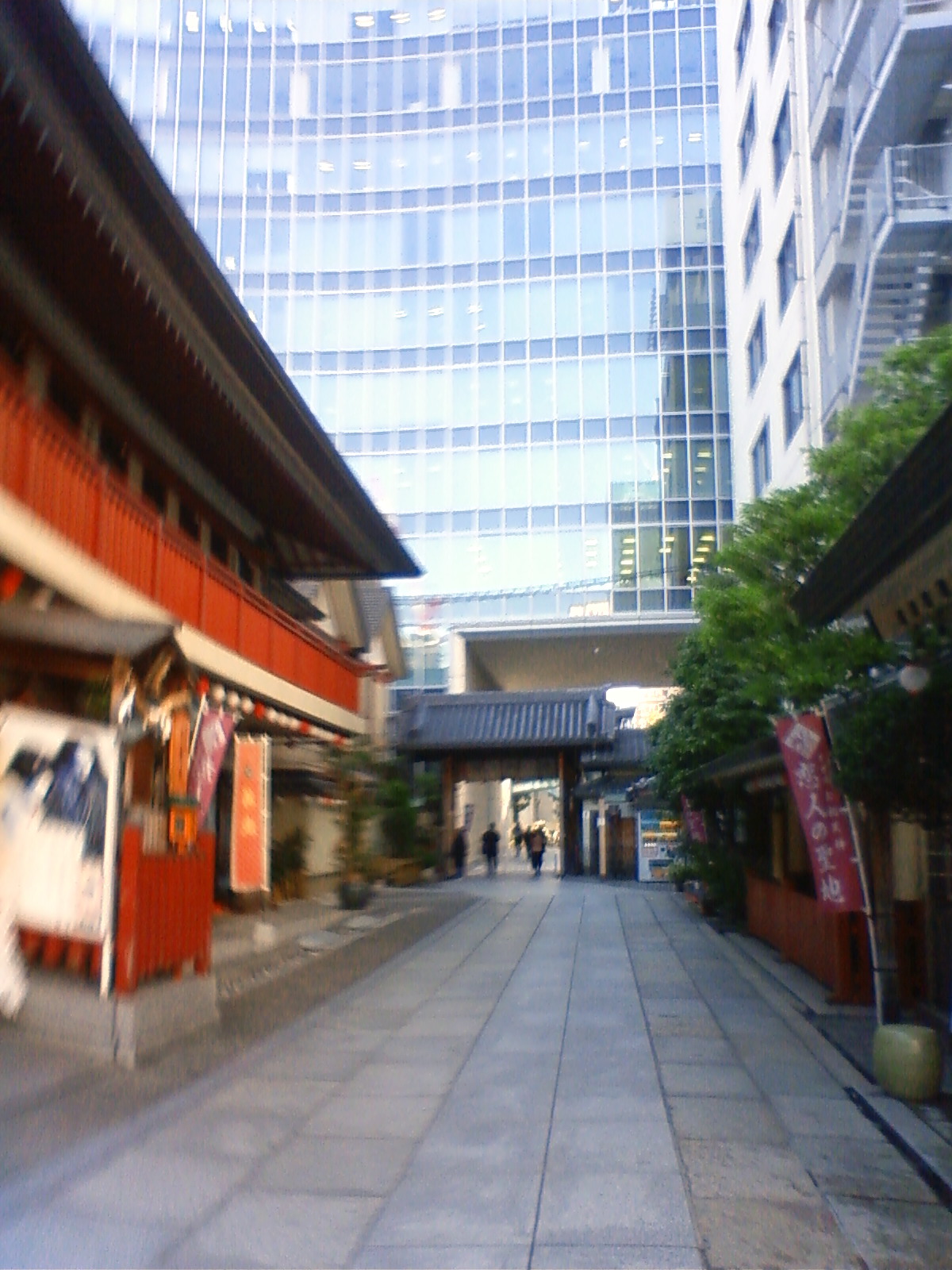 NEC_2478.JPG