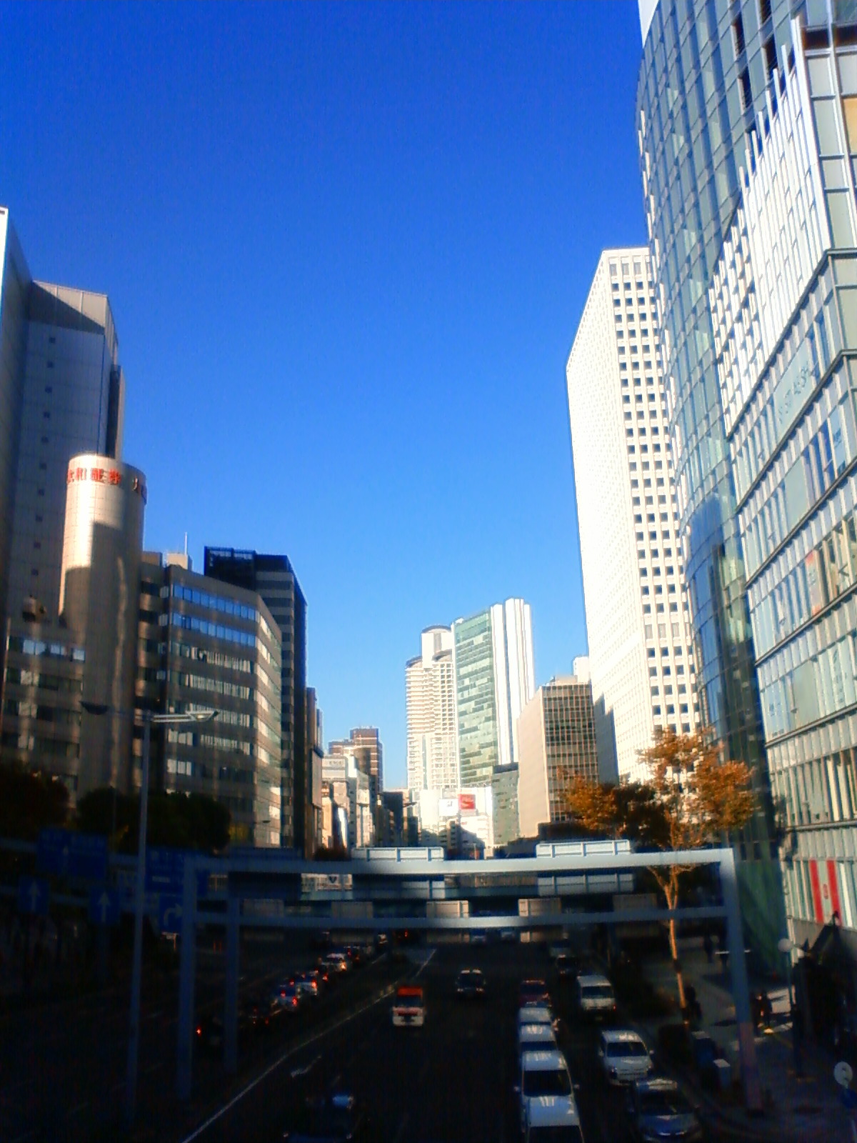 NEC_2479.JPG
