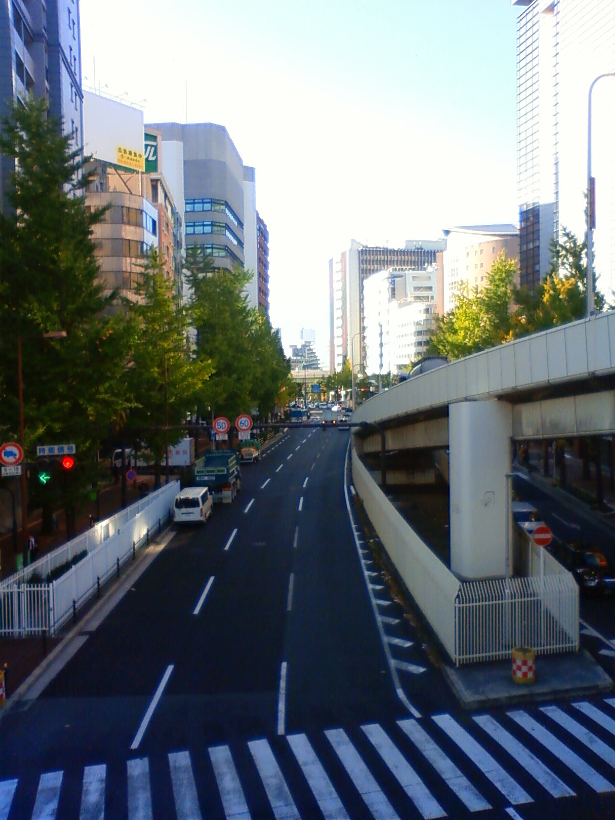 NEC_2481.JPG