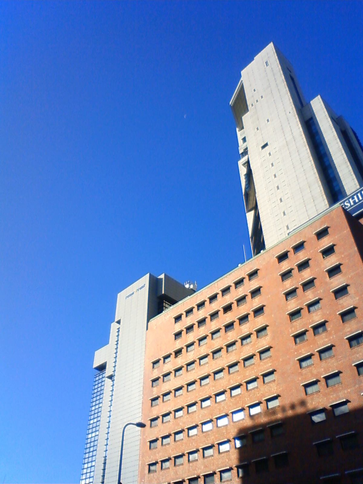 NEC_2482.JPG
