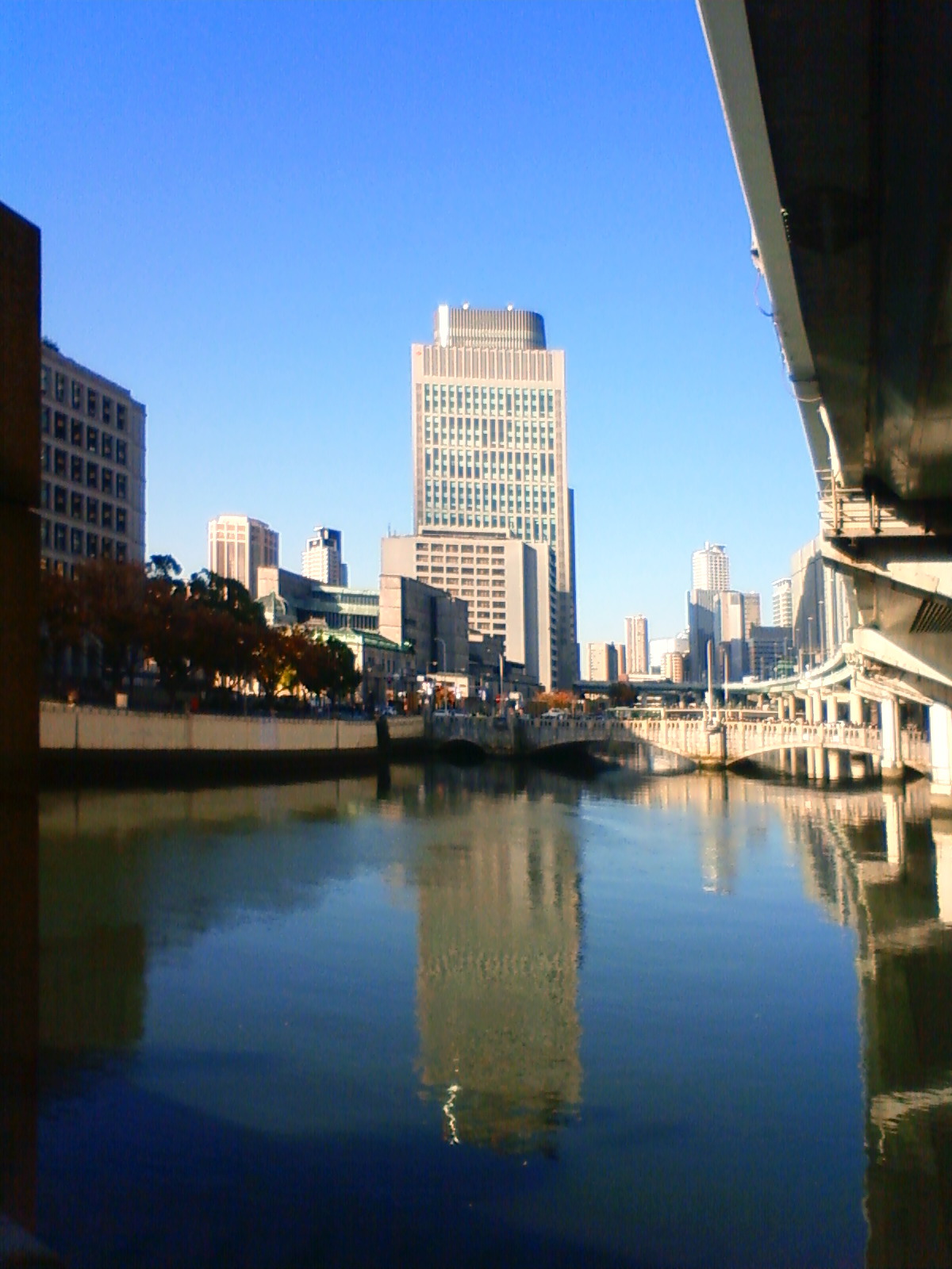 NEC_2484.JPG