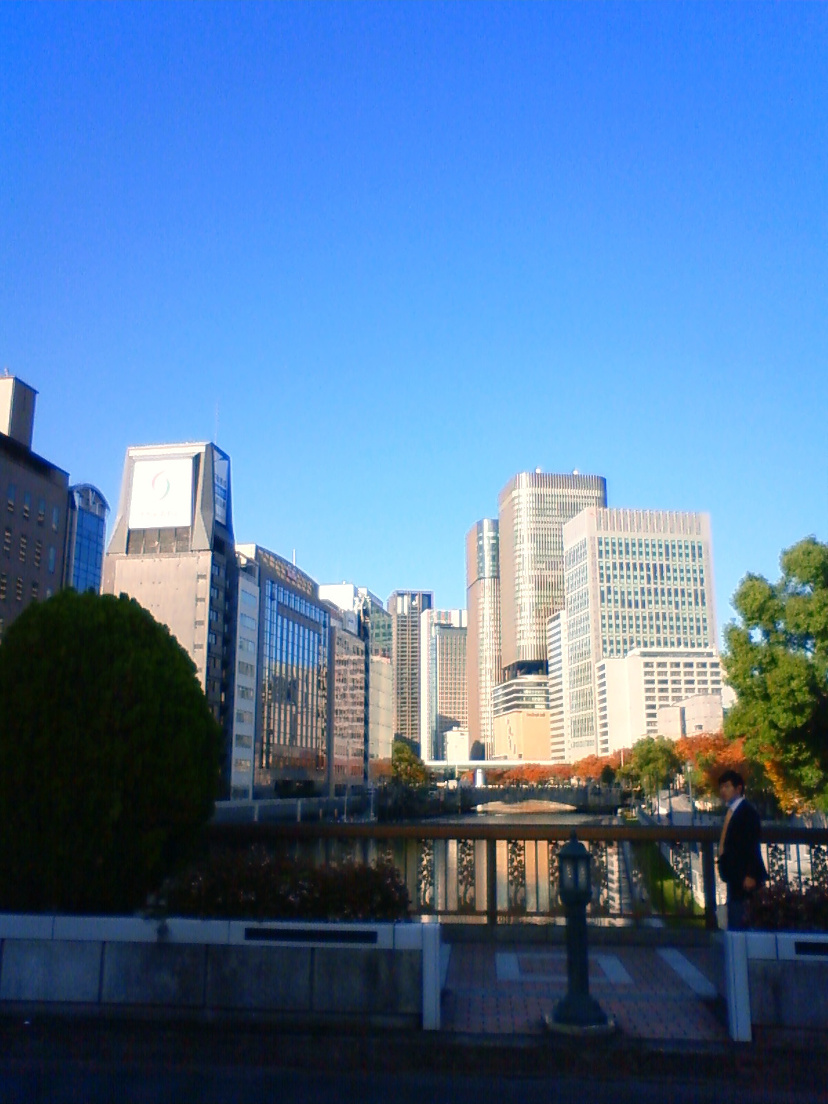 NEC_2486.JPG