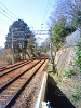 NEC_0222_thumb.png