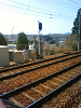 NEC_0225_thumb.png