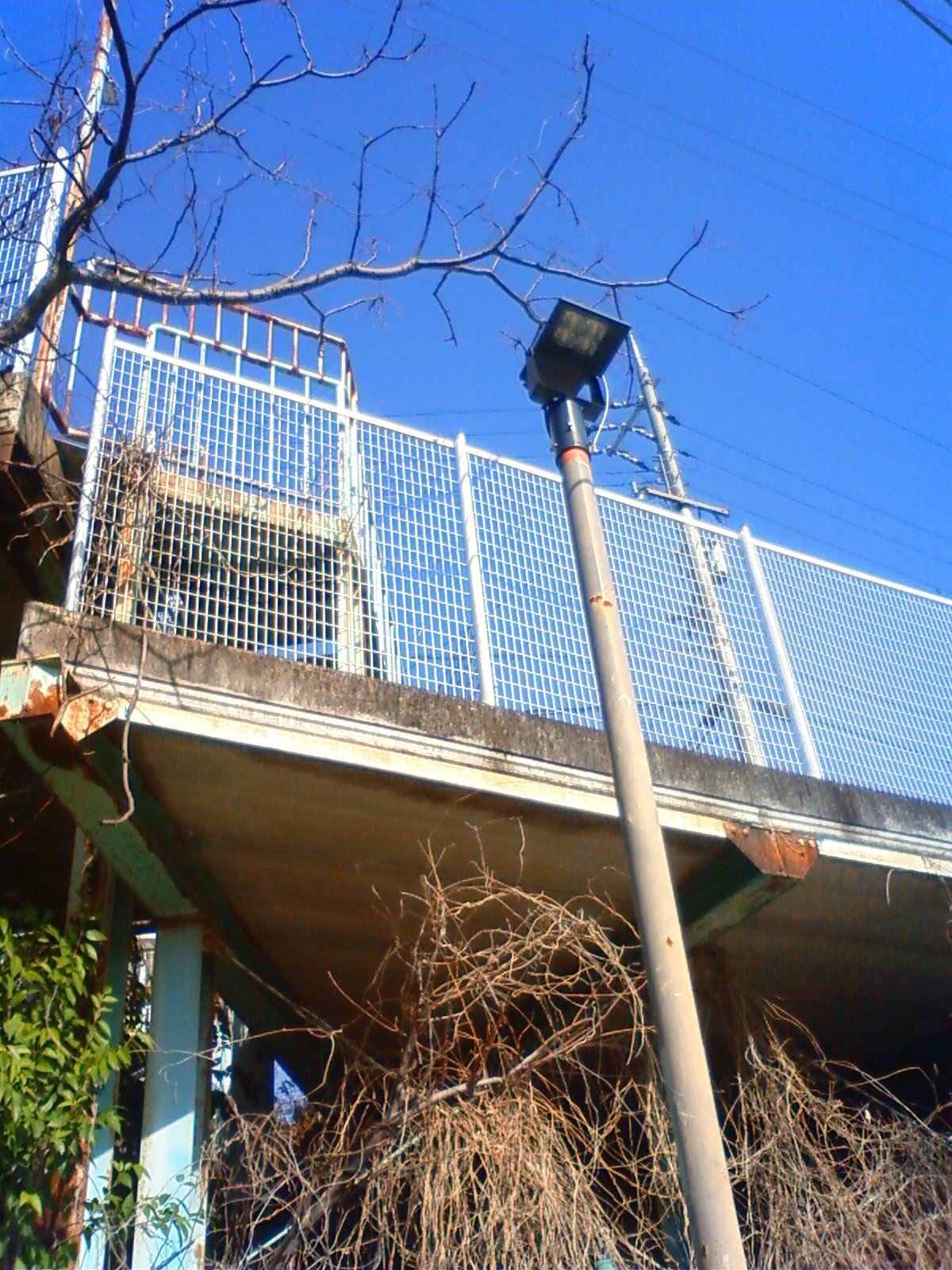 NEC_0226.JPG