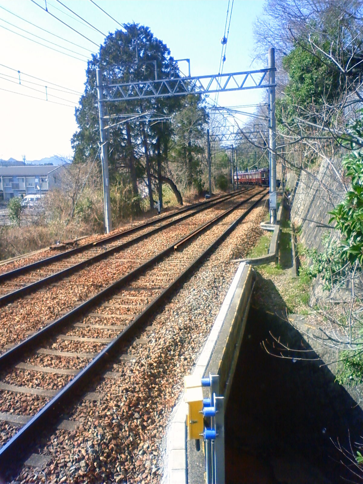 NEC_0227.JPG