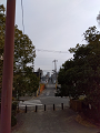 IMG_2025-01-05-11-02-39-102_thumb.png